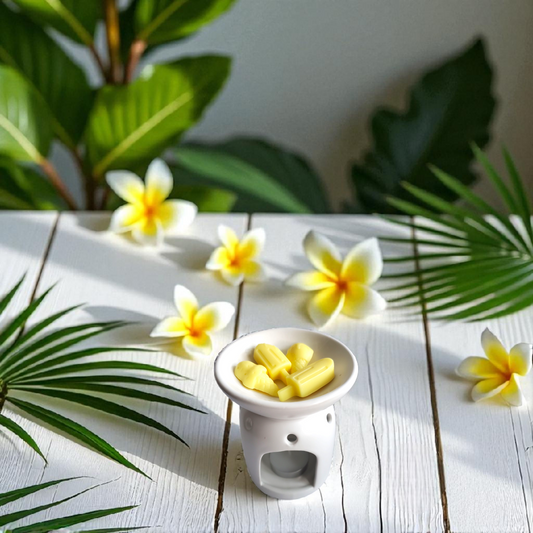 Pineapple Whip Popsicle & Ice Cream Cone Soy Wax Melts - Summer Collection