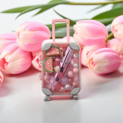 Mini Luggage  Gift Set Mini Suitcase Gift Set
